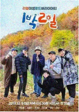 旧城灯火 现实主义小说推荐
